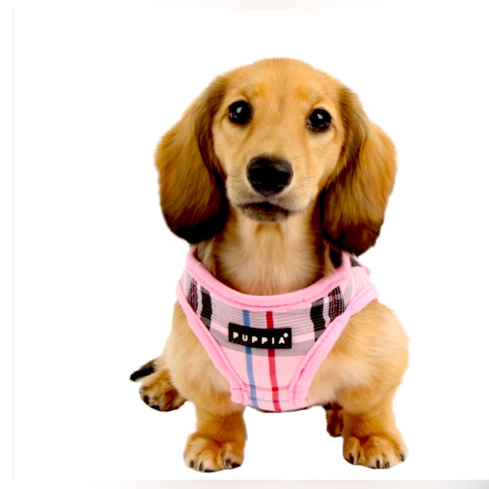 Puppia Junior Vest Harness